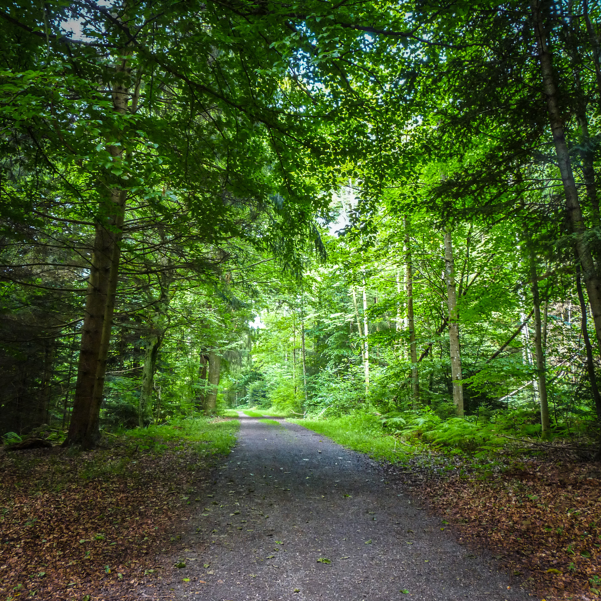 20210725104659 1130840